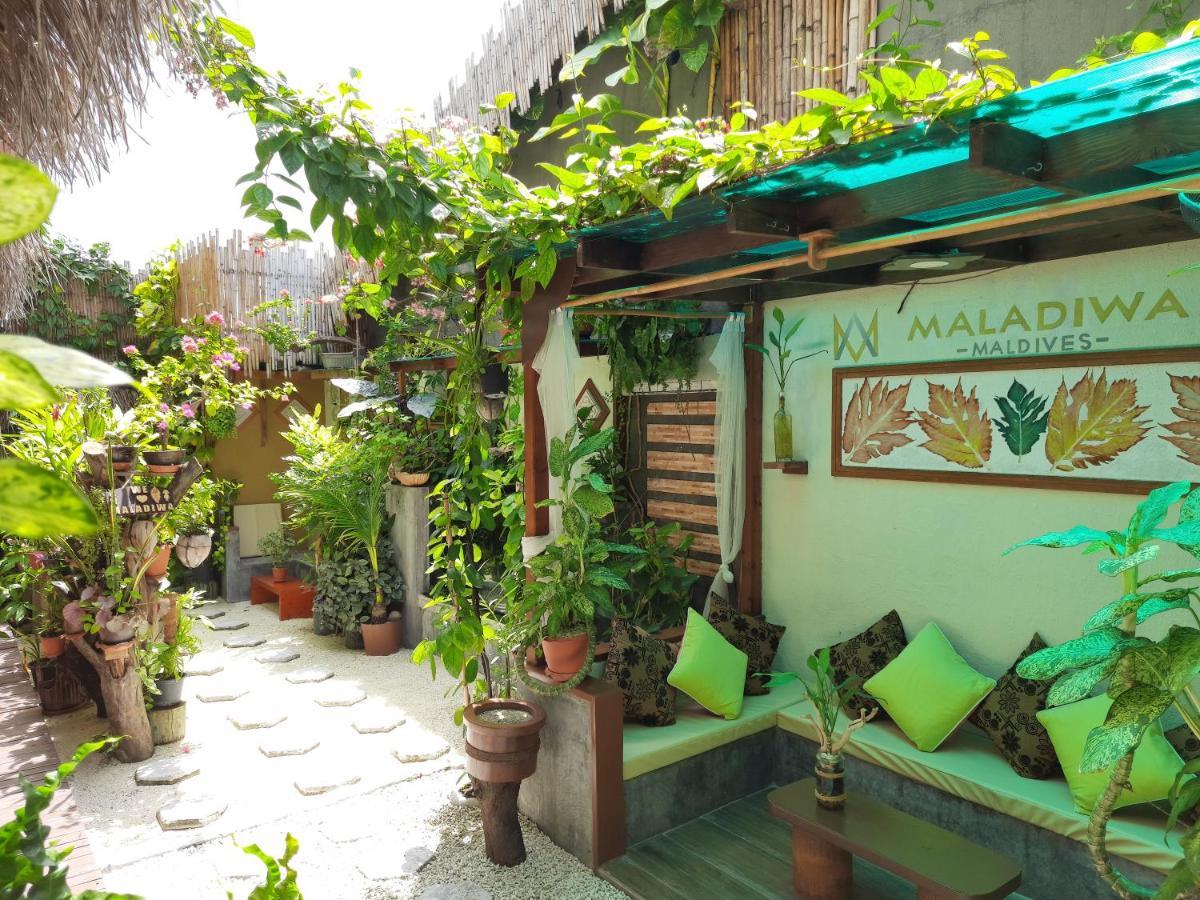 Maladiwa Beach & Spa Maafushi Exteriör bild
